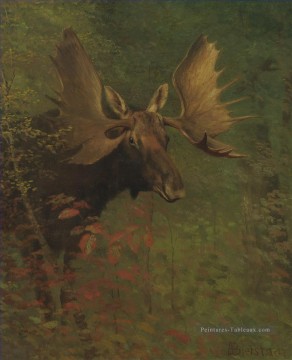 STUDY OF A MOOSE American Albert Bierstadt Peinture à l'huile